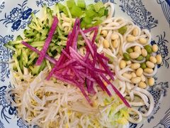 -大海碗·炸酱面·烤鸭·京菜(天坛店)