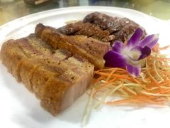烧味拼盘-新高记·粤菜·湛江鸡(南头古城店)