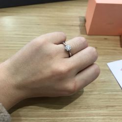 -钻石小鸟钻戒婚戒定制(石路店)