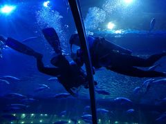 -成都浩海立方海洋公园