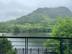 -芳草地度假酒店·野炉中餐厅