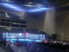 -成都金融城演艺中心