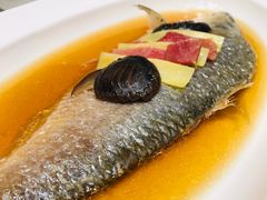 古法蒸鲥鱼-望乡楼上海菜(日月光店)