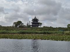 -上海海湾国家森林公园