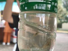 -丁香湖公园