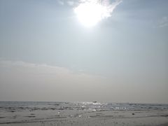 -江山半岛白浪滩景区