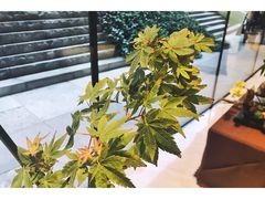 -上海衡山路十二号华邑酒店