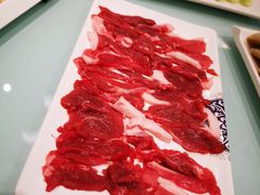 -龙福成肥牛火锅(文昌店)