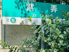 -西湖风景区-江洋畈生态公园