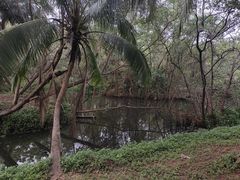 -白沙门生态公园