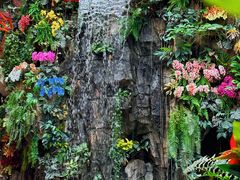 -正佳雨林生态植物园