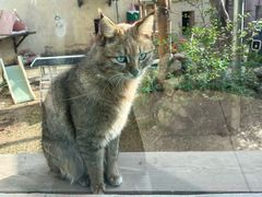 -青藏高原野生动物园