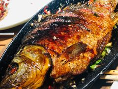 -森龍邑·烧烤·海鲜·炒菜(闽江路店)