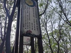 -洛阳市隋唐城遗址植物园