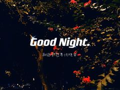 -雷祖芳老妈蹄花店