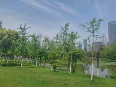 -艾溪湖湿地公园