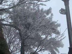 -泰山风景名胜区