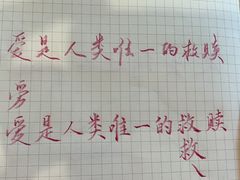 -猫的天空之城概念书店(束河店)