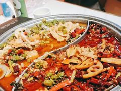 -锦尚阁烤鱼(望京新荟城店)