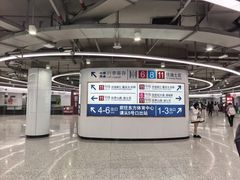 -东方体育中心(地铁站)
