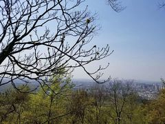 -紫金山山顶公园