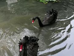 -北京麋鹿生态实验中心