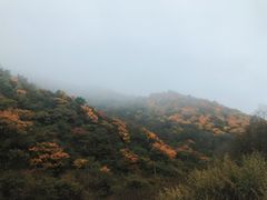 -秦岭风景区