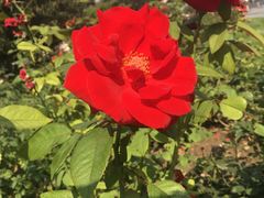 -湖北味道(湖北大厦店)