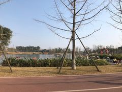 -白鹭湾湿地公园