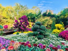 -杭州植物园
