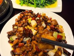 -陈麻婆豆腐总店