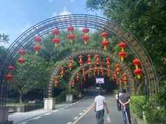 -大屏嶂森林公园