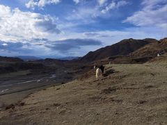 -墨石公园景区