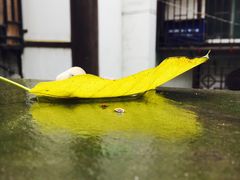 -懒鱼时光馆(沙坪坝店)
