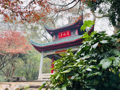 -岳麓山风景名胜区