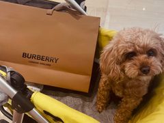 -BURBERRY(青岛海信广场店)