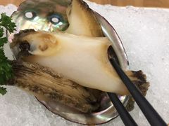 -一本钓鲔鱼屋