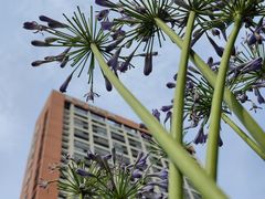 -翠贝卡&Mama Kelly Brunch Coffee(河西店)