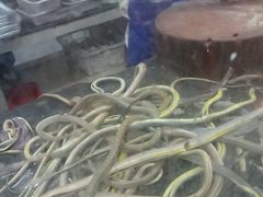 -荔城生鲜盛宴(番禺旗舰店)