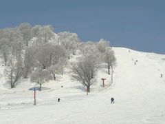 -神鹿雪场