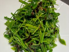 油鸡枞拌辣木苗-马旺子酒楼