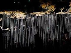 -怀托摩萤火虫洞