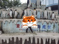 -重庆欢乐海底世界