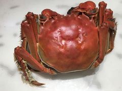 -七的湖·晚芳亭·阳澄湖农家菜·大闸蟹(莲花岛店)