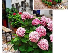 -蟹谢蒸鲜自助餐厅