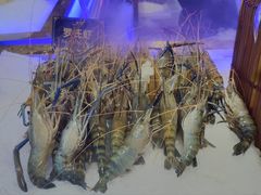 -九月海·海鲜自助(世纪东方店)