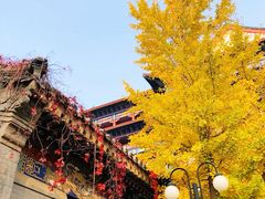-大明幻境第一城