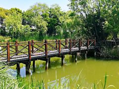 -梁鸿国家湿地公园
