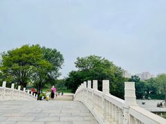 -塘沽森林公园