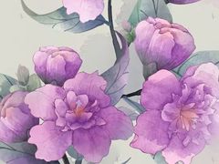 -鑫涛温泉汗蒸时代